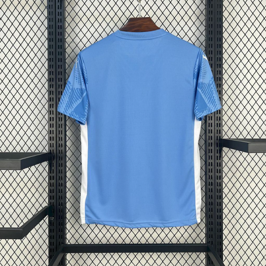 Camisa Palmeiras Goleiro - 25/26