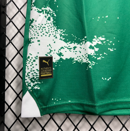 Camisa Palmeiras Edição Especial - 24/25